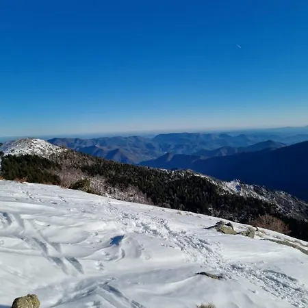 D'aigoual
