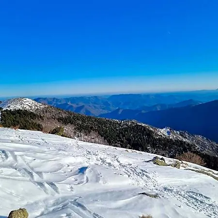 D'aigoual 발레로그