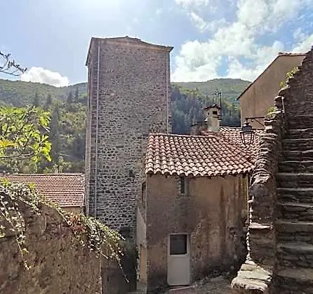 D'aigoual *