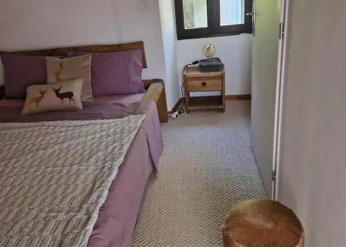 D'aigoual بيت شباب *